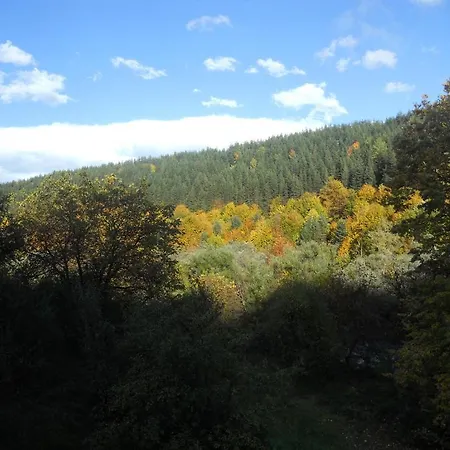 Pandukov Guest house