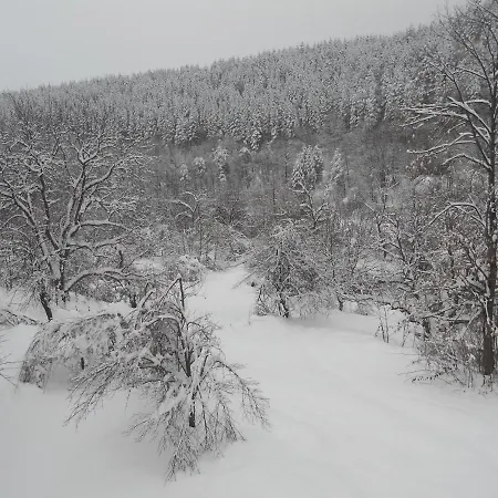 Pandukov Apriltsi (Lovech)